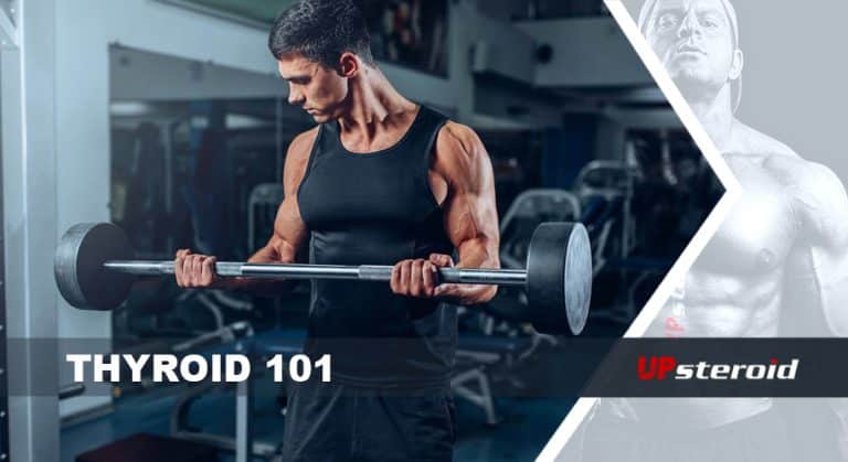 θυρεοειδής 101