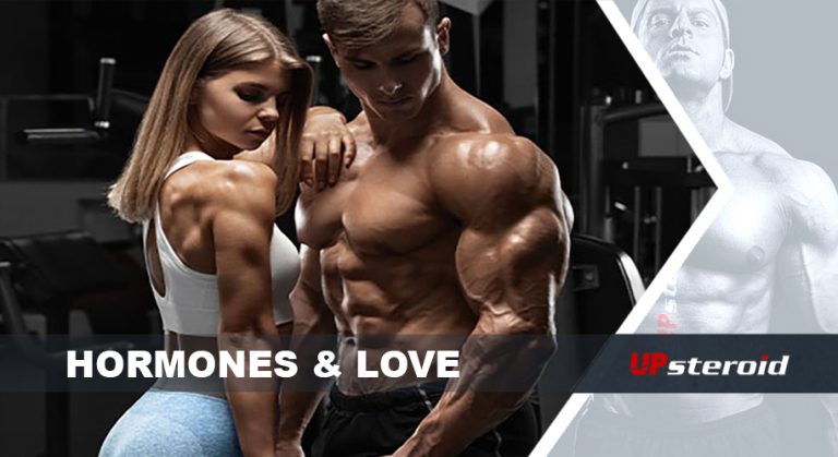 ορμόνες αγάπη