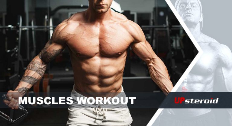 μυϊκή προπόνηση