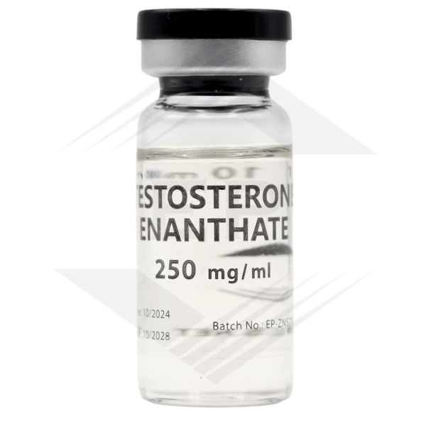 Testosterone Enanthate - 250mg/ml 10ml/Flacon - Euro Pharmacies