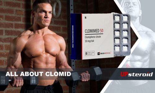 όλα για το clomid UP