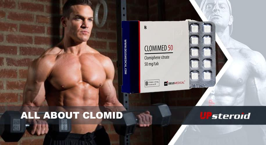 όλα για το clomid UP