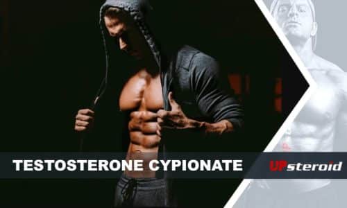 επάνω στο ιστολόγιο κυπιονική τεστοστερόνη για bodybuilding
