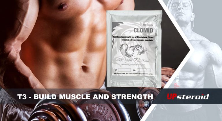 blog t3 για ανάπτυξη μυϊκής δύναμης