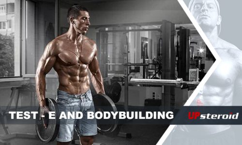 δοκιμή ιστολογίου ηλεκτρονικού bodybuilding