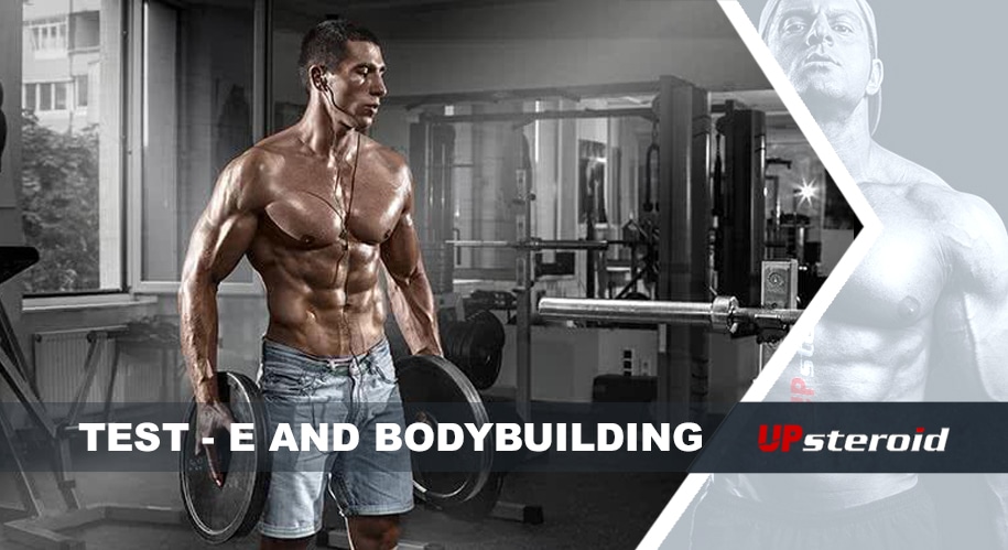 δοκιμή ιστολογίου ηλεκτρονικού bodybuilding