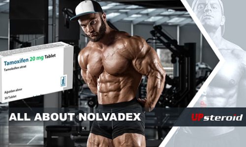 ιστολόγιο σχετικά με το nolvadex mail