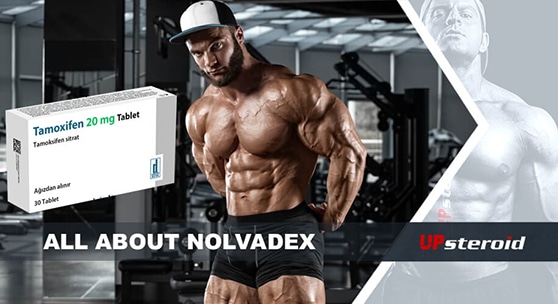 ιστολόγιο σχετικά με το nolvadex mail