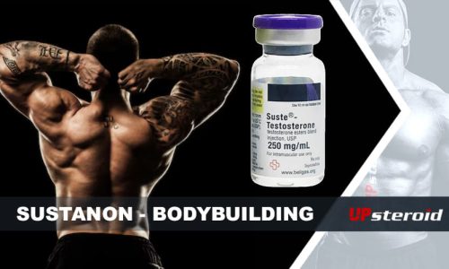 επάνω ιστολόγιο susta bodybuilding