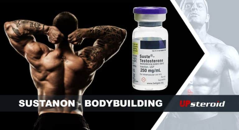 επάνω ιστολόγιο susta bodybuilding