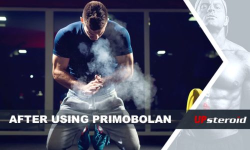 ανέβασε το ιστολόγιό σου μετά τη χρήση του Primobolan