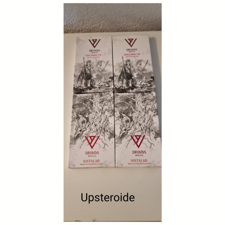 2023 09 13 6501e274f28f5 λογότυπο9 13 181644