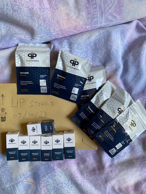 2023 10 09 6523cafb403d8 μικρογραφία IMG 0839