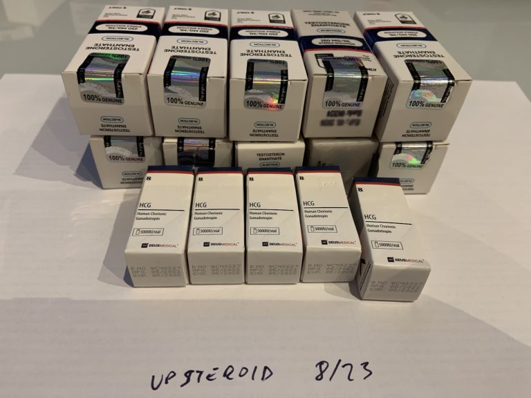 2023 10 31 65413bac63c2f Φωτογραφία31 10 23183708