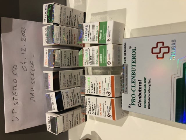 2023 12 08 6572fd6552e42 εικόνα0