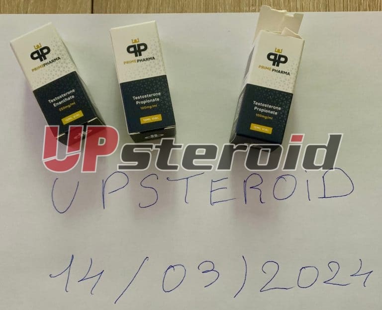 2024 03 14 65f32c2317893 ΕΙΚΟΝΑ 90472