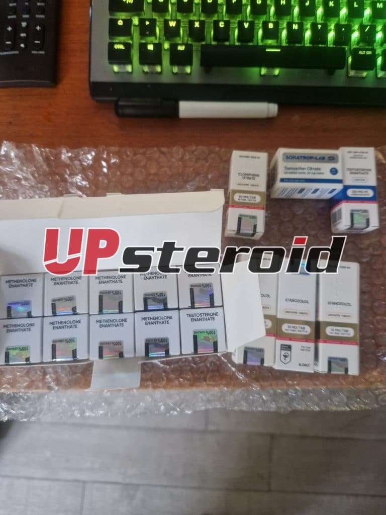 2024 08 03 66ae7e36d8235 μικρογραφία 1000013431