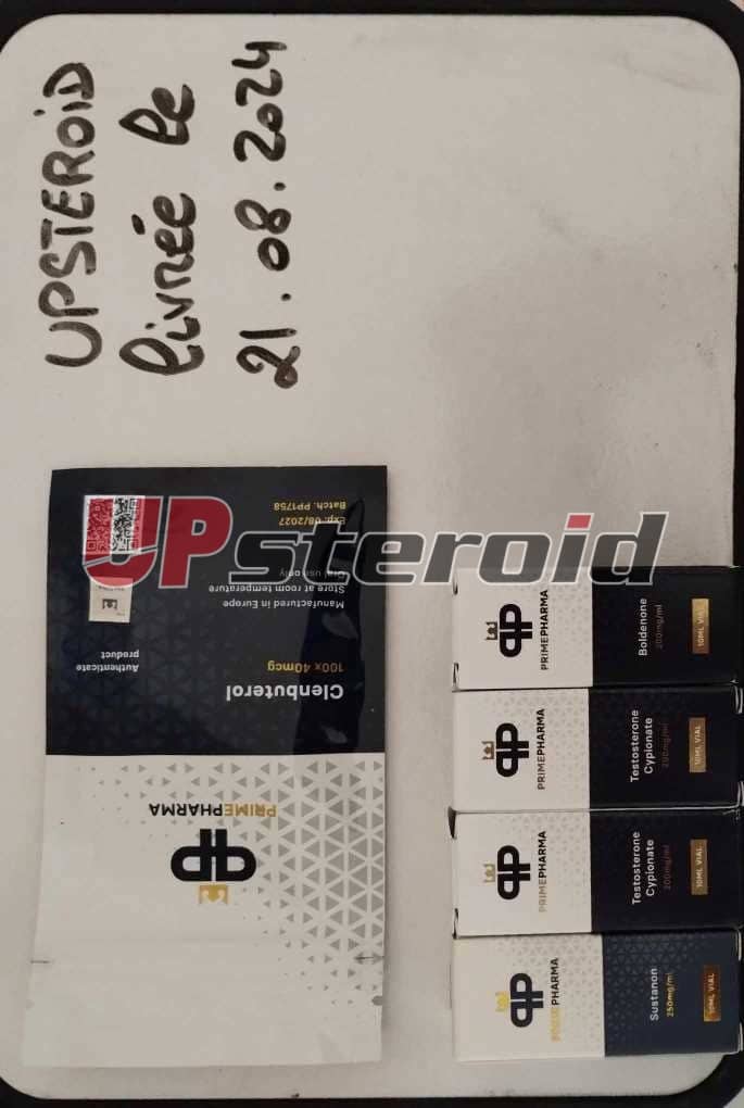 2024 08 22 66c7402cccfb7 Δημιουργία Messenger 0d43f1c6 18cf 4778 899a 755a60d58aa1