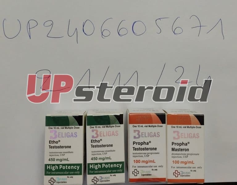 2024 11 24 67433a05dd592 Στιγμιότυπο οθόνης 20241124 153605 Συλλογή