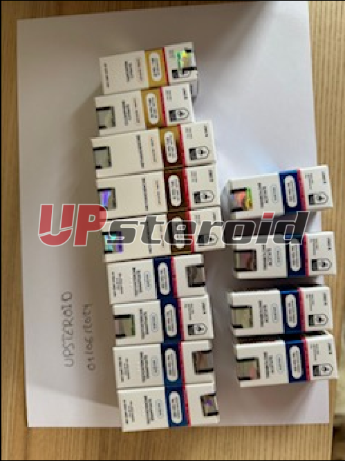 2024 11 26 67458cf3db30a Συλλήφθηκεcrandu2024 11 2608 53 56