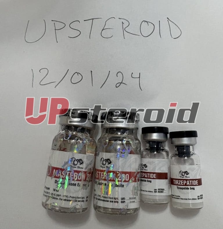 2024 12 01 674c5174a4656 ΕΙΚΟΝΑ 0134