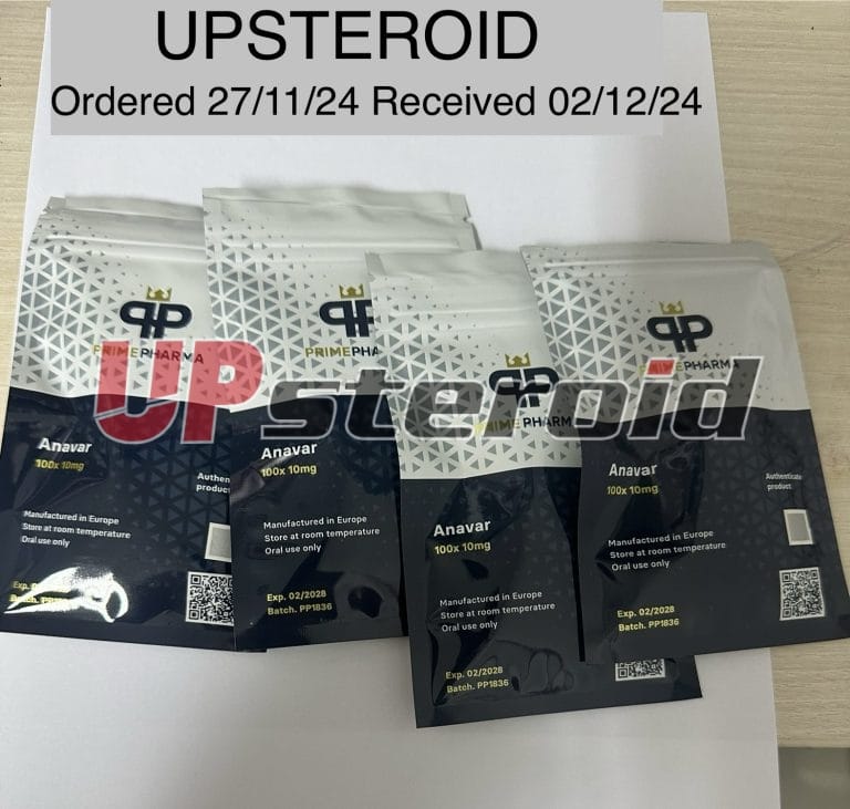 2024 12 03 674f848786877 ΕΙΚΟΝΑ 1018