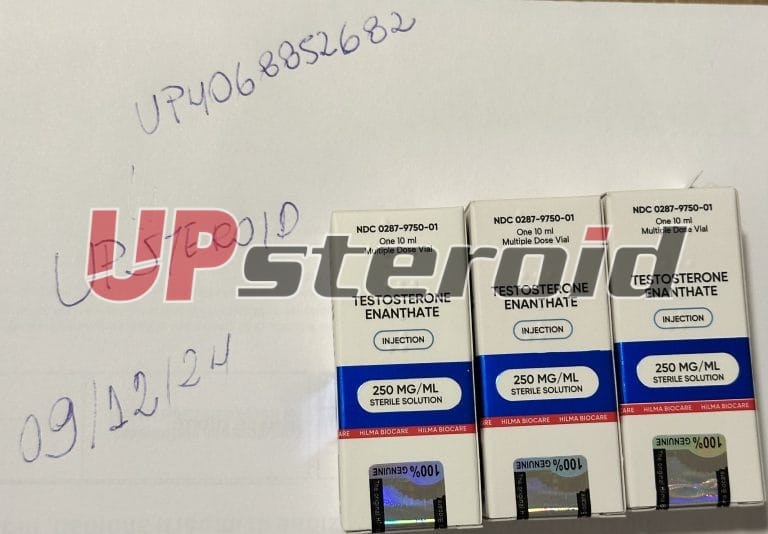 2024 12 09 675748ec27023 ΕΙΚΟΝΑ 6790