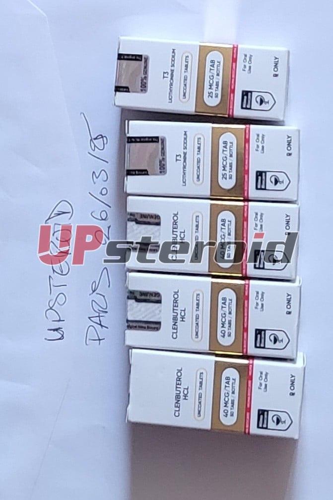 2025 03 26 67e415654b28b 20250326 153600