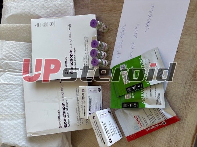 2025 08 04 689122cfd2ac2 ΕΙΚΟΝΑ 3839