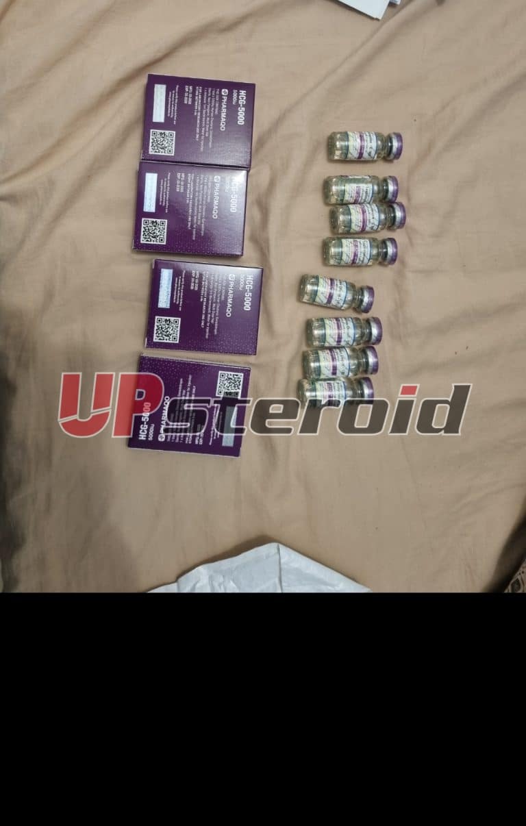 2025 08 04 68913be446f01 Στιγμιότυπο οθόνης 20250805 010032 Συλλογή