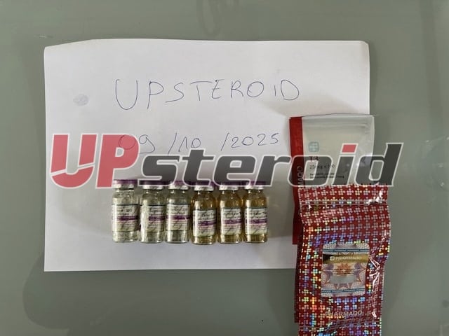 2025 10 09 68e7a0c998d63 εικόνα0