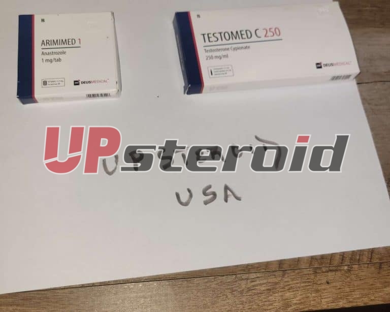 2025 10 31 6904483a59f69 Εικόνα 2025 10 31 00 24 12