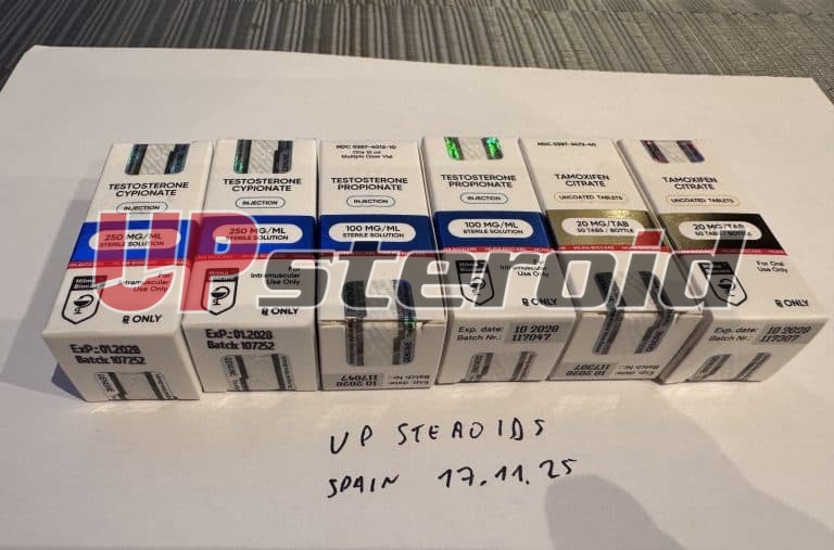 2025 11 24 6924a699ecc1e Φωτογραφία22 11 25211711