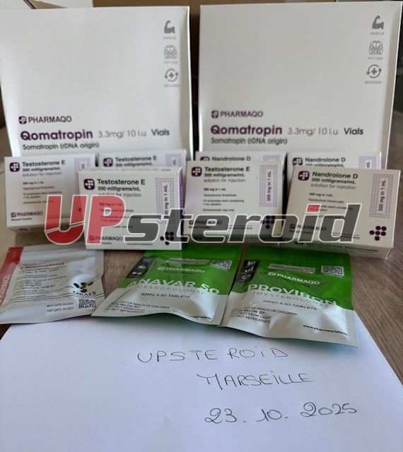 2025 11 26 6926b03e0cc2f ΕΙΚΟΝΑ 4514