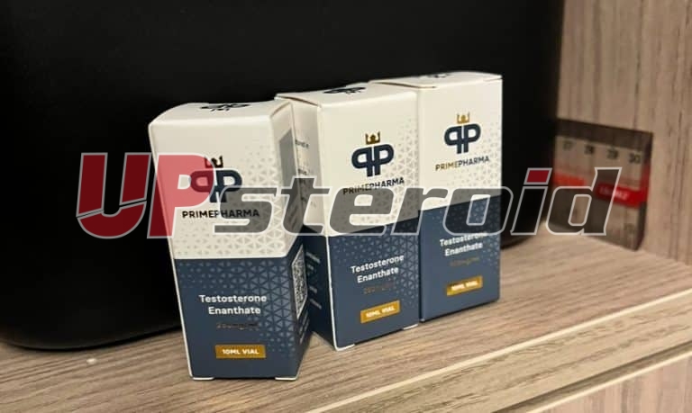 2025 12 05 69331433d9501 ΕΙΚΟΝΑ 6365