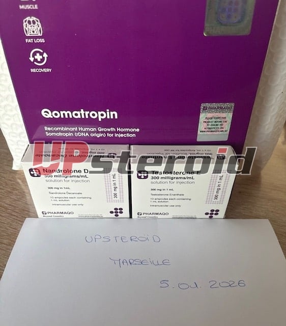 2026 01 06 695cc7139e385 εικόνα0