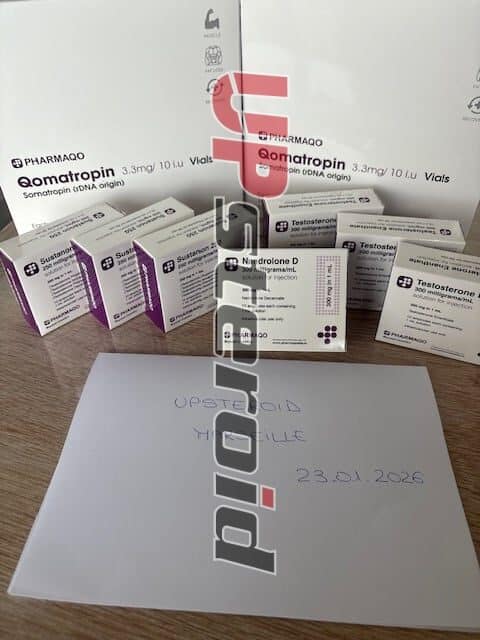 2026 01 26 697711e471ae9 ΕΙΚΟΝΑ 8151